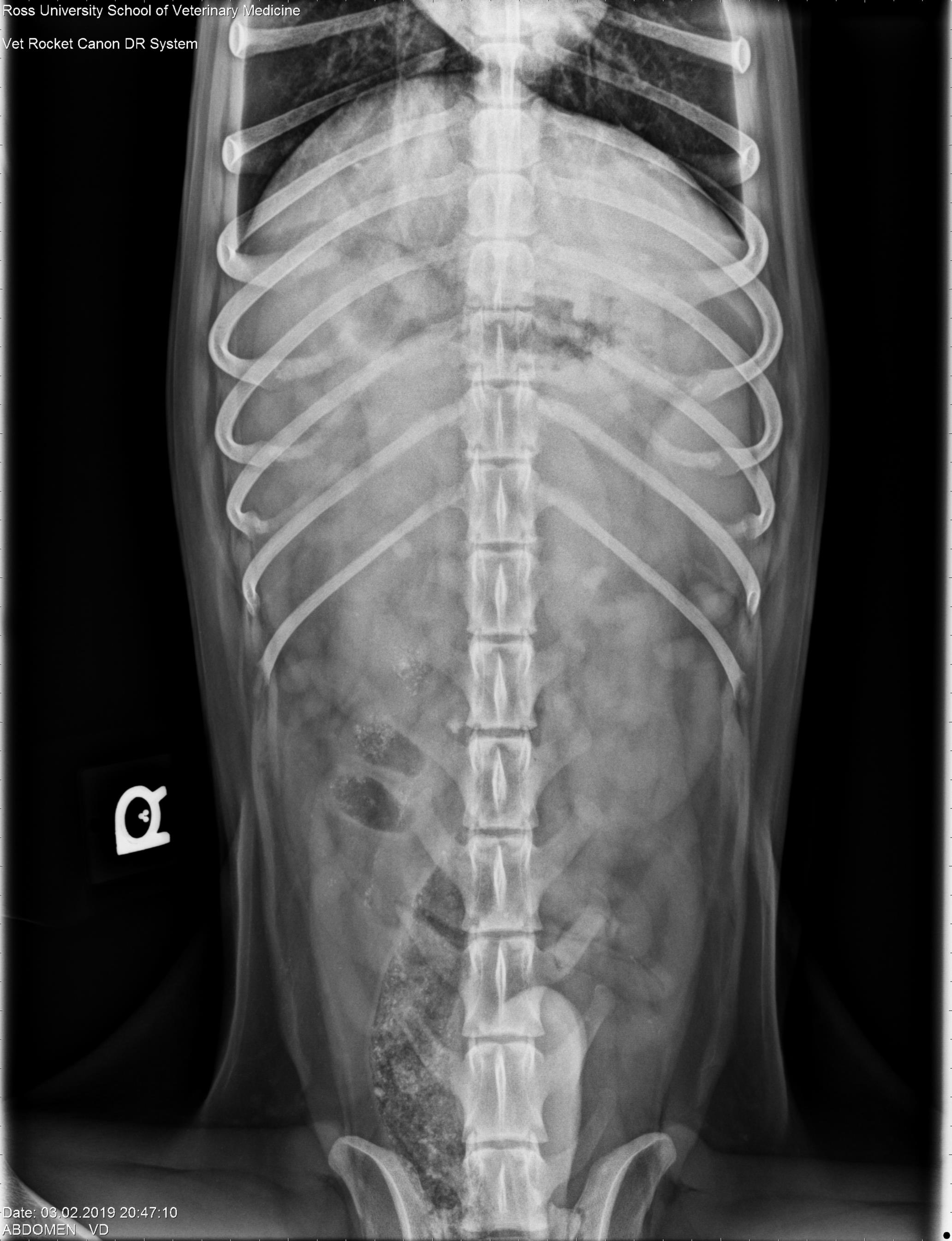 worka/vanillajswheelzoom